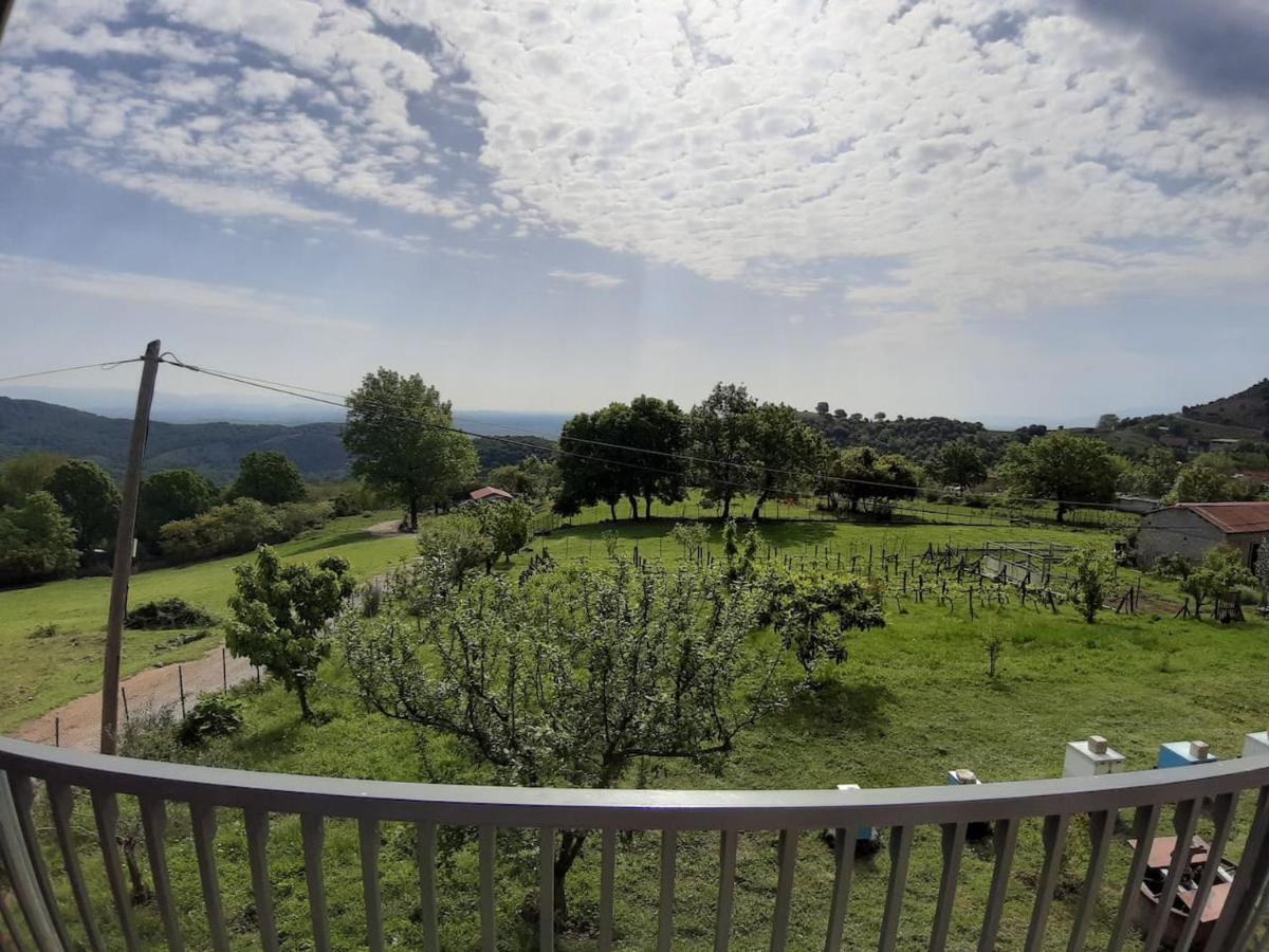 Country Home Genesi 20 Min From Trikala Exterior foto