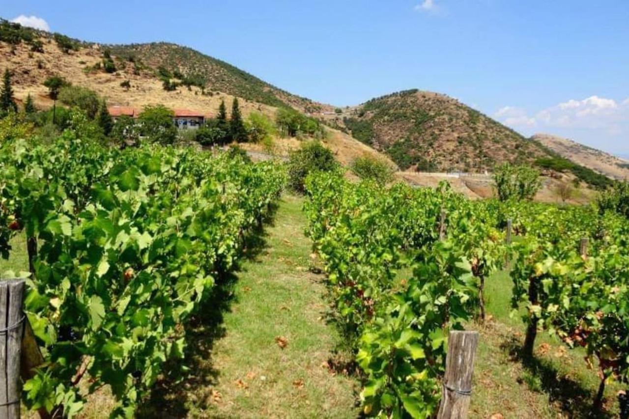 Country Home Genesi 20 Min From Trikala Exterior foto